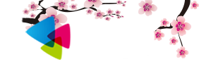 追风小说小说
